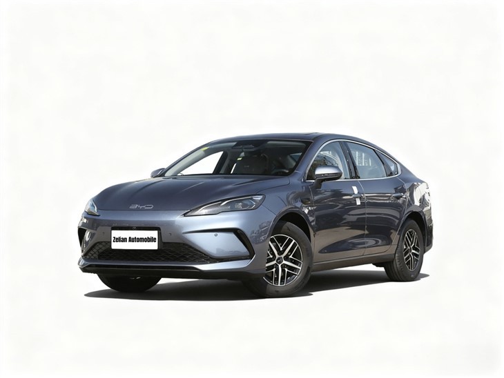 တံဆိပ် 05 2025 DM-i 120KM Flagship Model